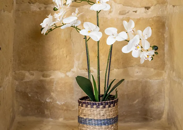 7 - Solo Traveler By Solea Vendégház 3*